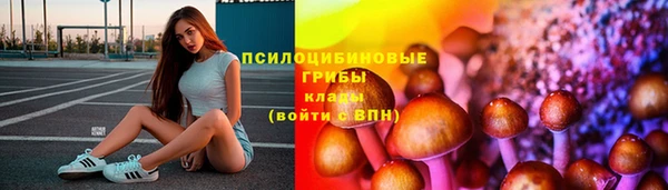 ПСИЛОЦИБИНОВЫЕ ГРИБЫ Нягань