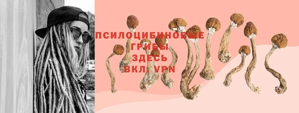 прущие крисы Ветлуга