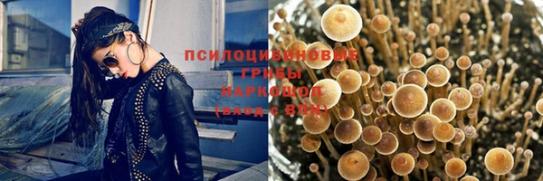 гашиш Няндома