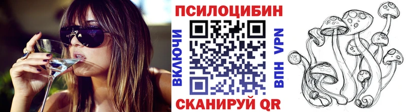 Галлюциногенные грибы Psilocybine cubensis Сальск